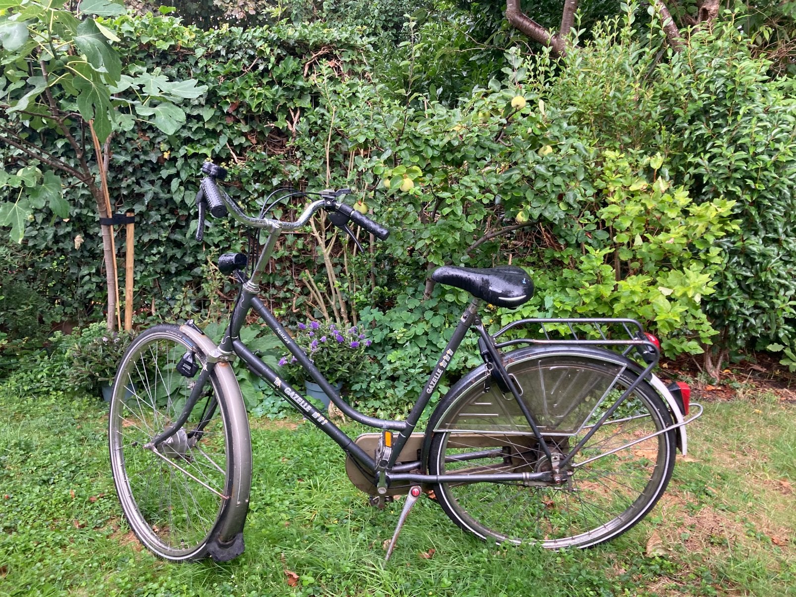 Gazelle primeur damesfiets 28 inch frame 57 cm, Ophalen, Gebruikt, Versnellingen, 56 cm of meer