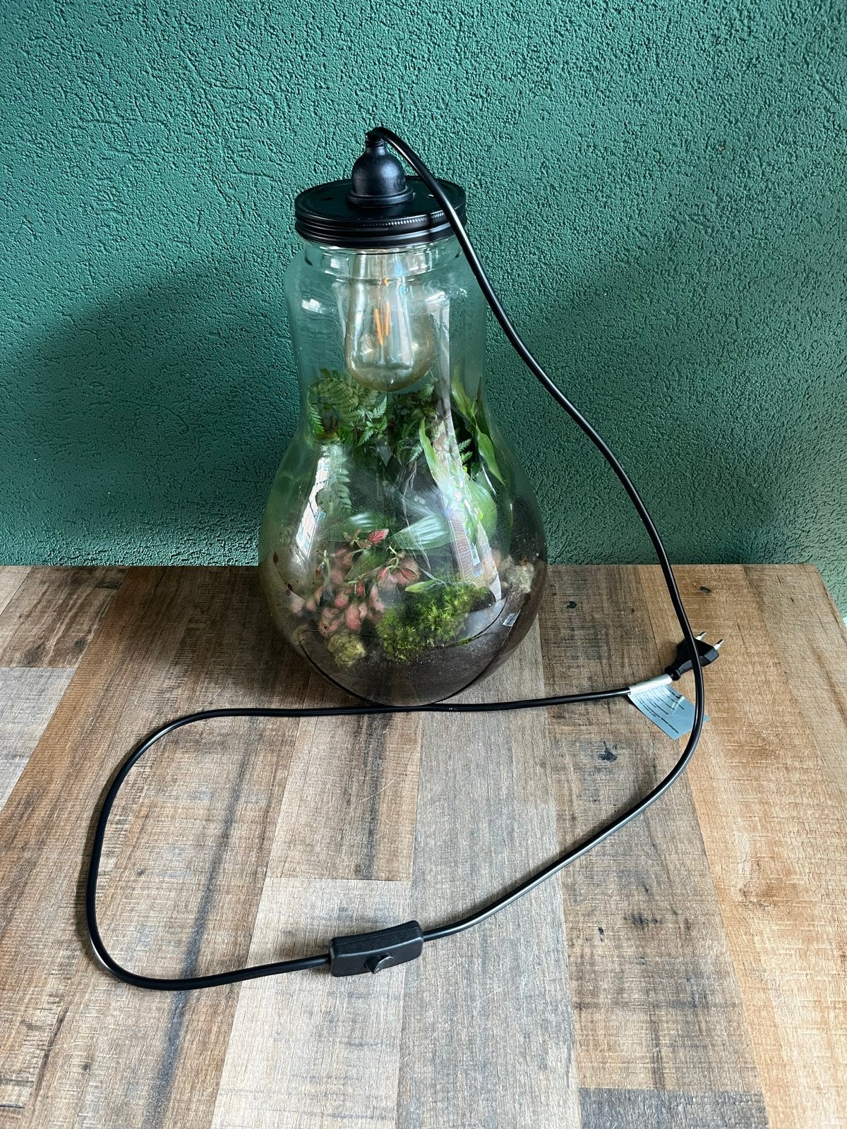 Terrarium lamp met planten en LED verlichting, Overige merken, Gebruikt, Meerkleurig, E27 (groot)