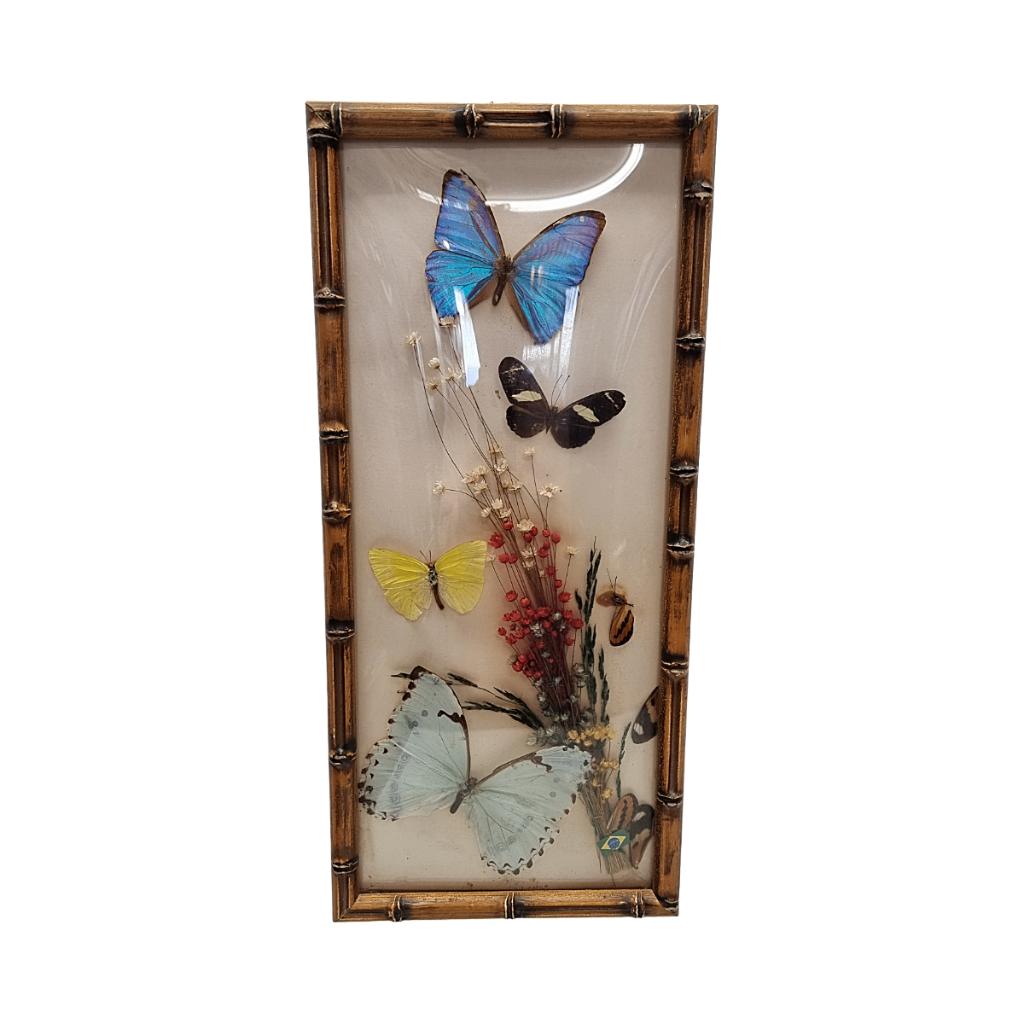 Vintage opgezette vlinders in lijst, Ophalen of Verzenden, Gebruikt, Insect, Opgezet dier