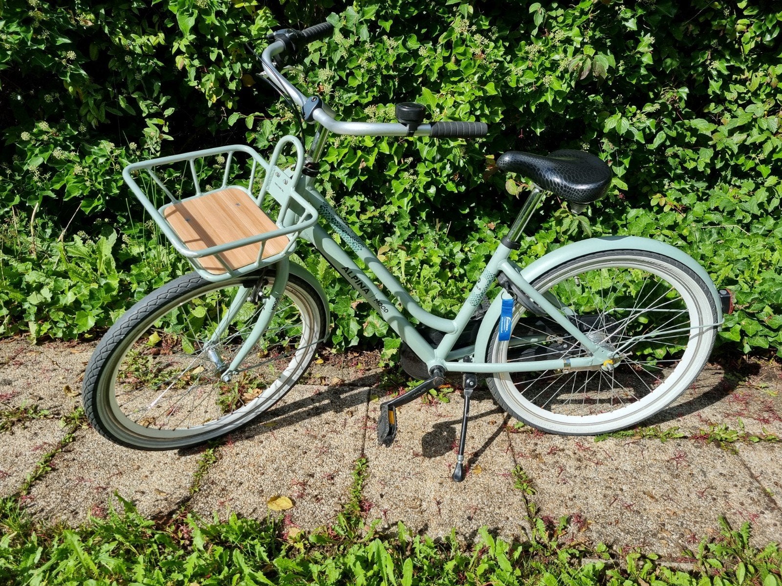 Alpina Mood meisjesfiets 24 inch, Fietsen en Brommers, Ophalen, Velgrem, Alpina, Handrem