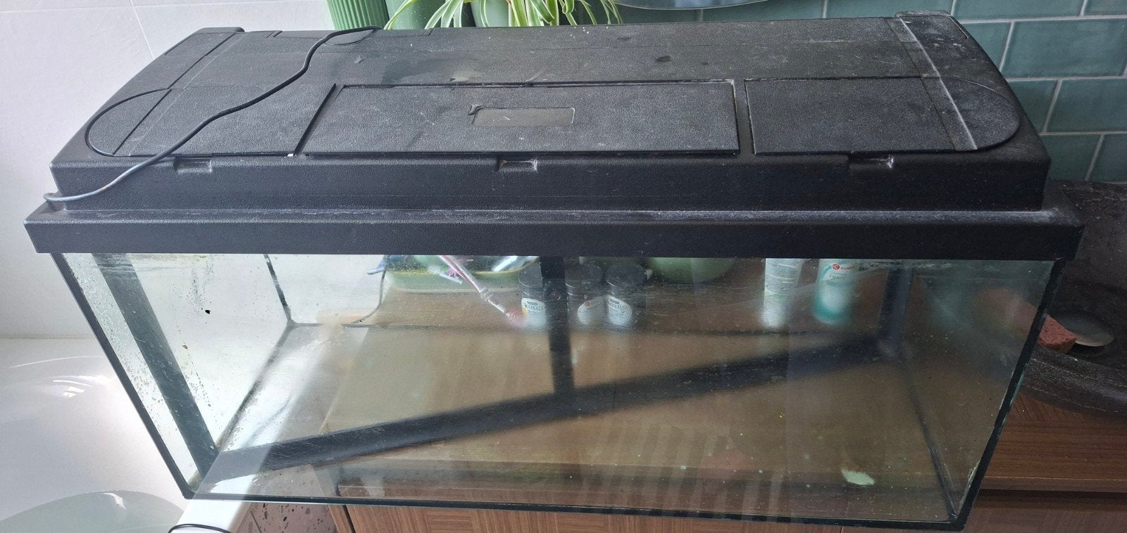 Terrarium/Aquarium 80x30x35, Ophalen, Gebruikt, Terrarium of Paludarium