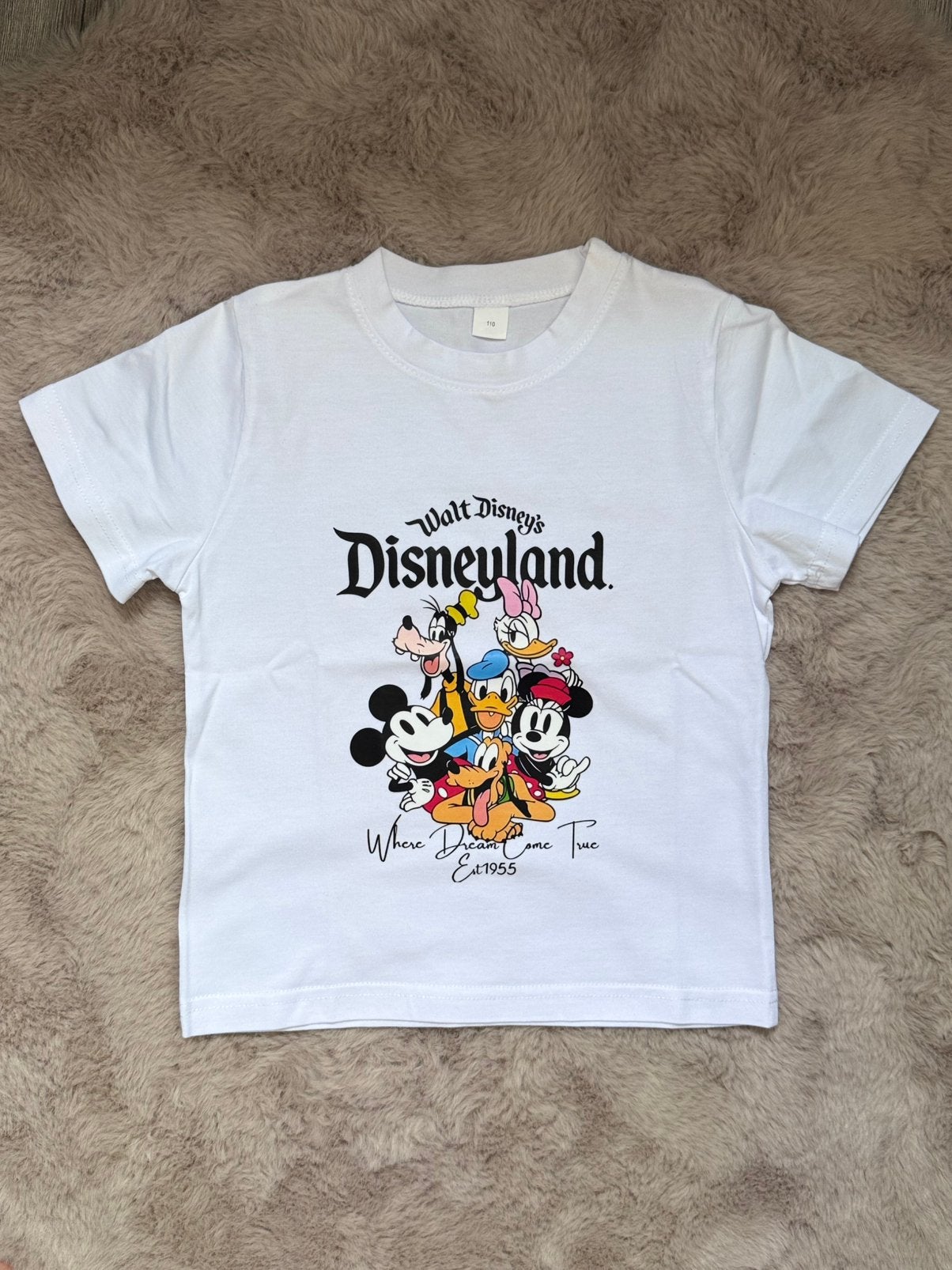 Nieuw Disneyland T-shirt 4-5 jaar, Ophalen of Verzenden, Nieuw, Meisje, Shirt of Longsleeve