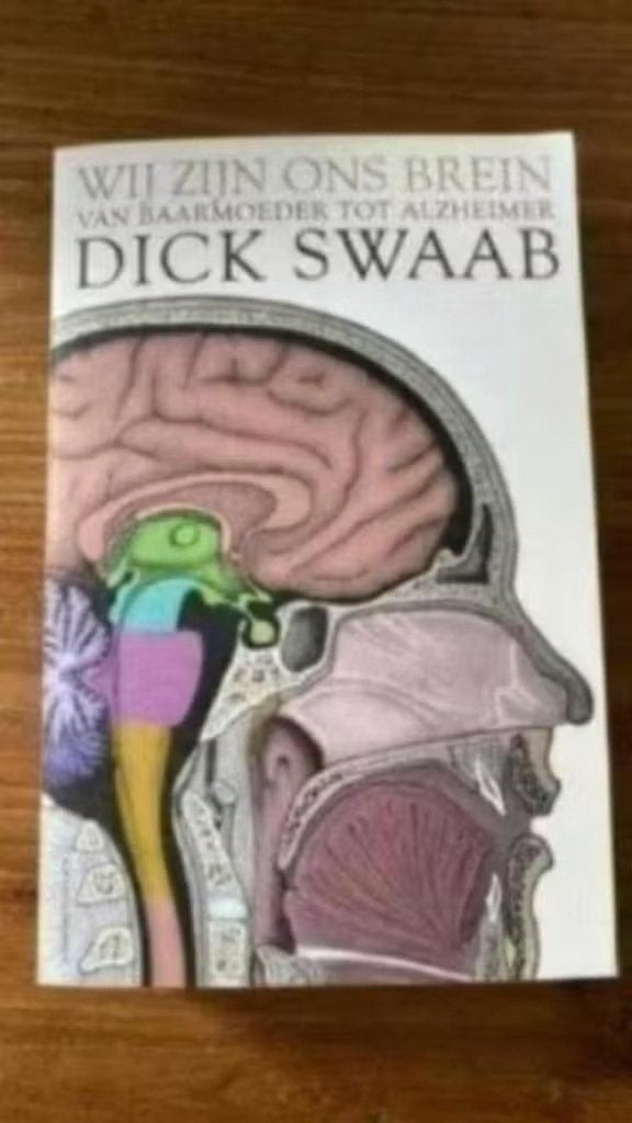 Wij zijn ons brein van baarmoeder tot alzheimer .Dick swaab, Ophalen of Verzenden, Zo goed als nieuw, Dick F. Swaab, Geesteswetenschap