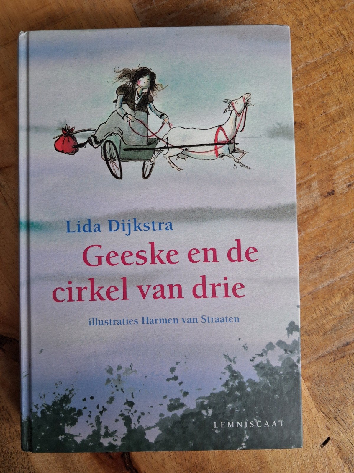 Geeske en de cirkel van drie  - Lida Dijkstra, Ophalen of Verzenden, Lida Dijkstra