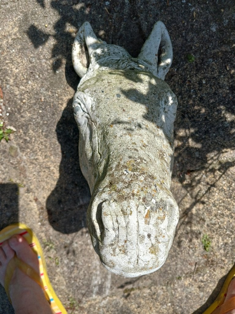 Tuinbeeld PAARDENHOOFD Groot: 29/39 cm., Ophalen of Verzenden, Steen, Dierenbeeld