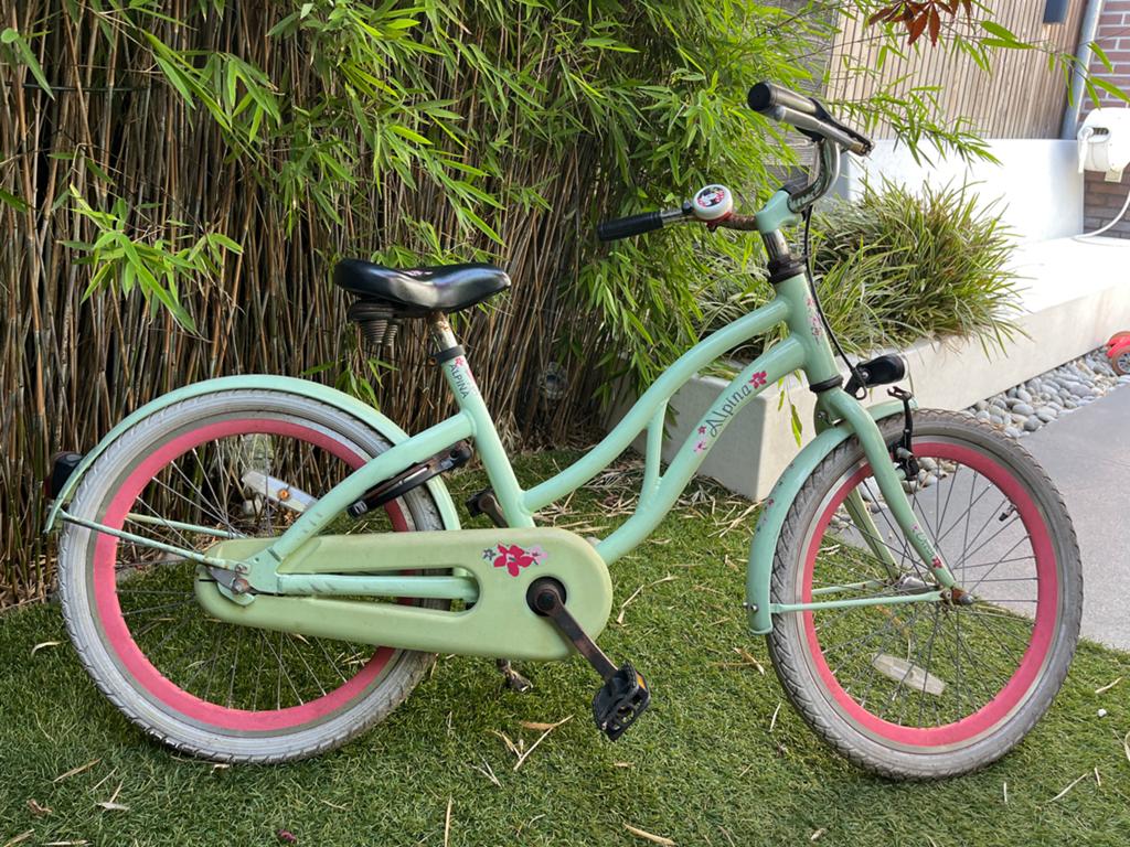 Alpina Beach Cruiser 20 inch meisjesfiets, Ophalen, Gebruikt, Terugtraprem, 20 inch of meer
