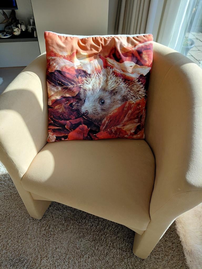 Clubje, Ophalen, Minder dan 50 cm