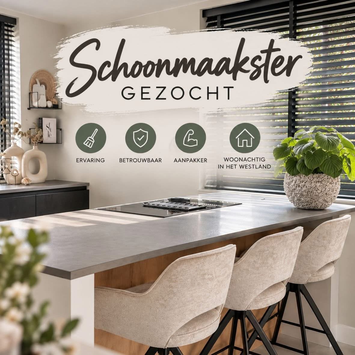 Gezocht: huishoudelijke hulp / schoonmaakster in Naaldwijk, Schoonmaken