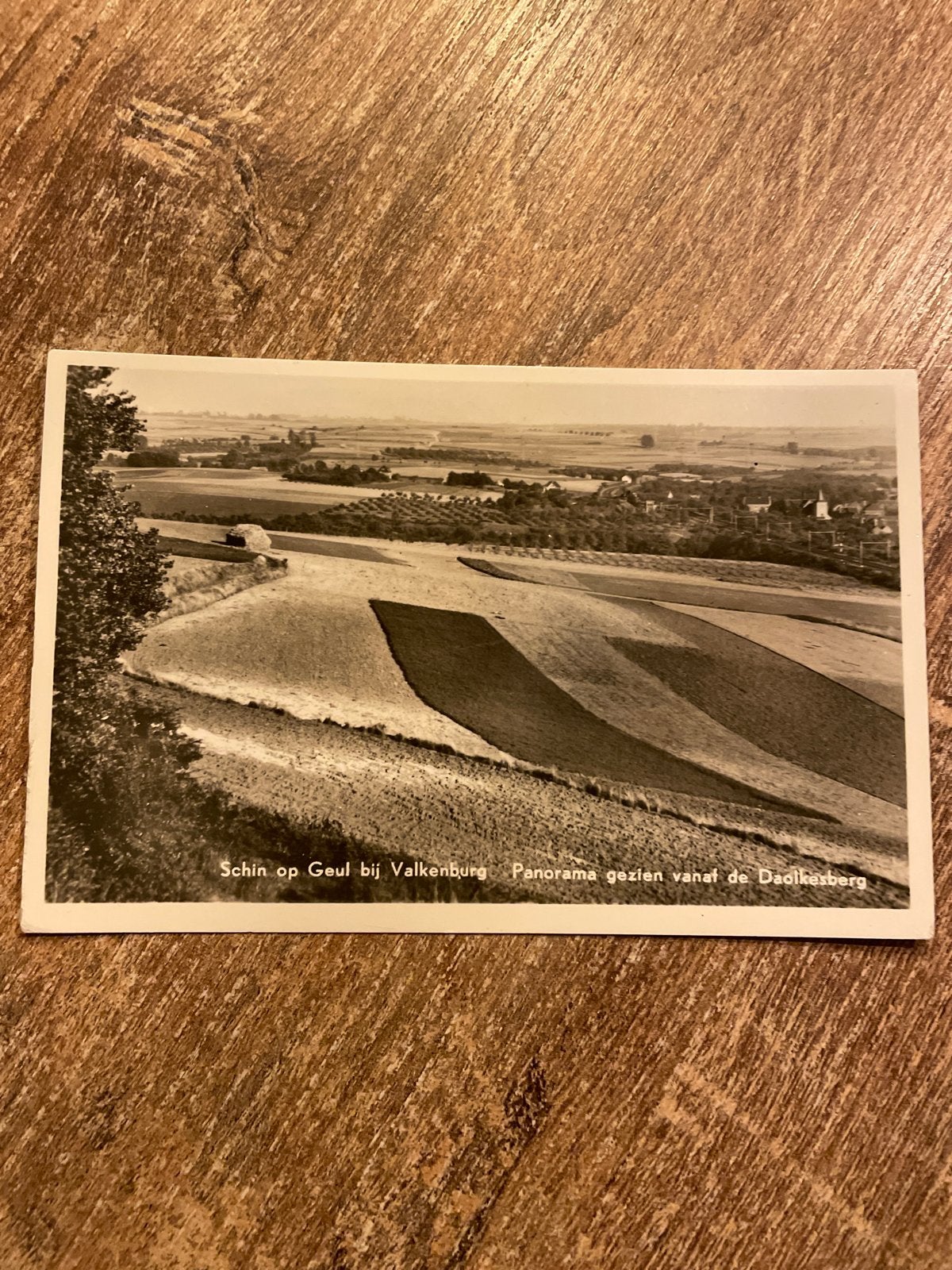Oude Ansichtkaart Schin op Geul bij Valkenburg (Gelopen), Verzamelen, Ophalen of Verzenden, 1940 tot 1960, Gelopen, Limburg
