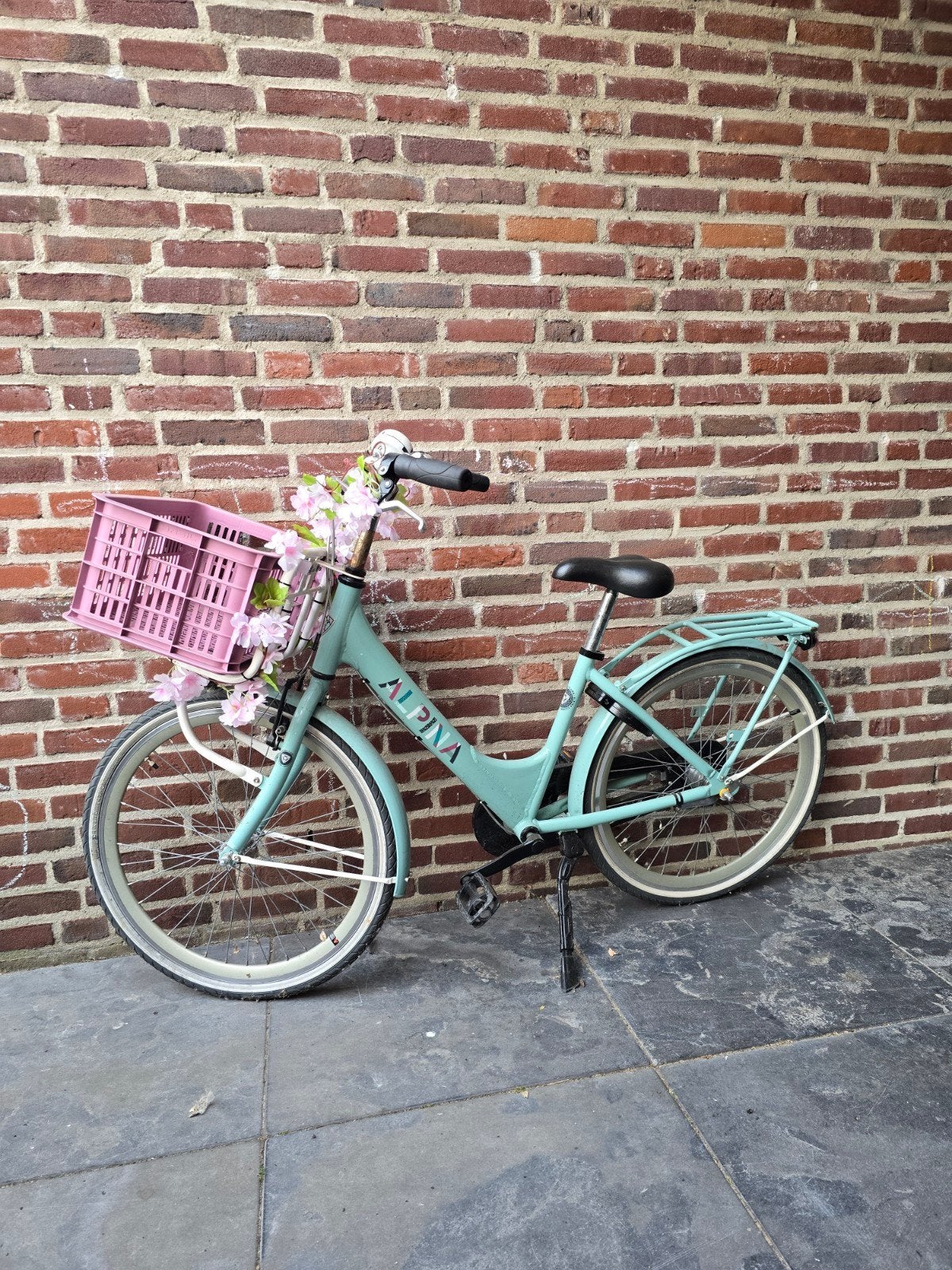 Alpina Clubb meisjesfiets 20 inch - Soft Mint, Ophalen, Gebruikt, Alpina, Versnellingen