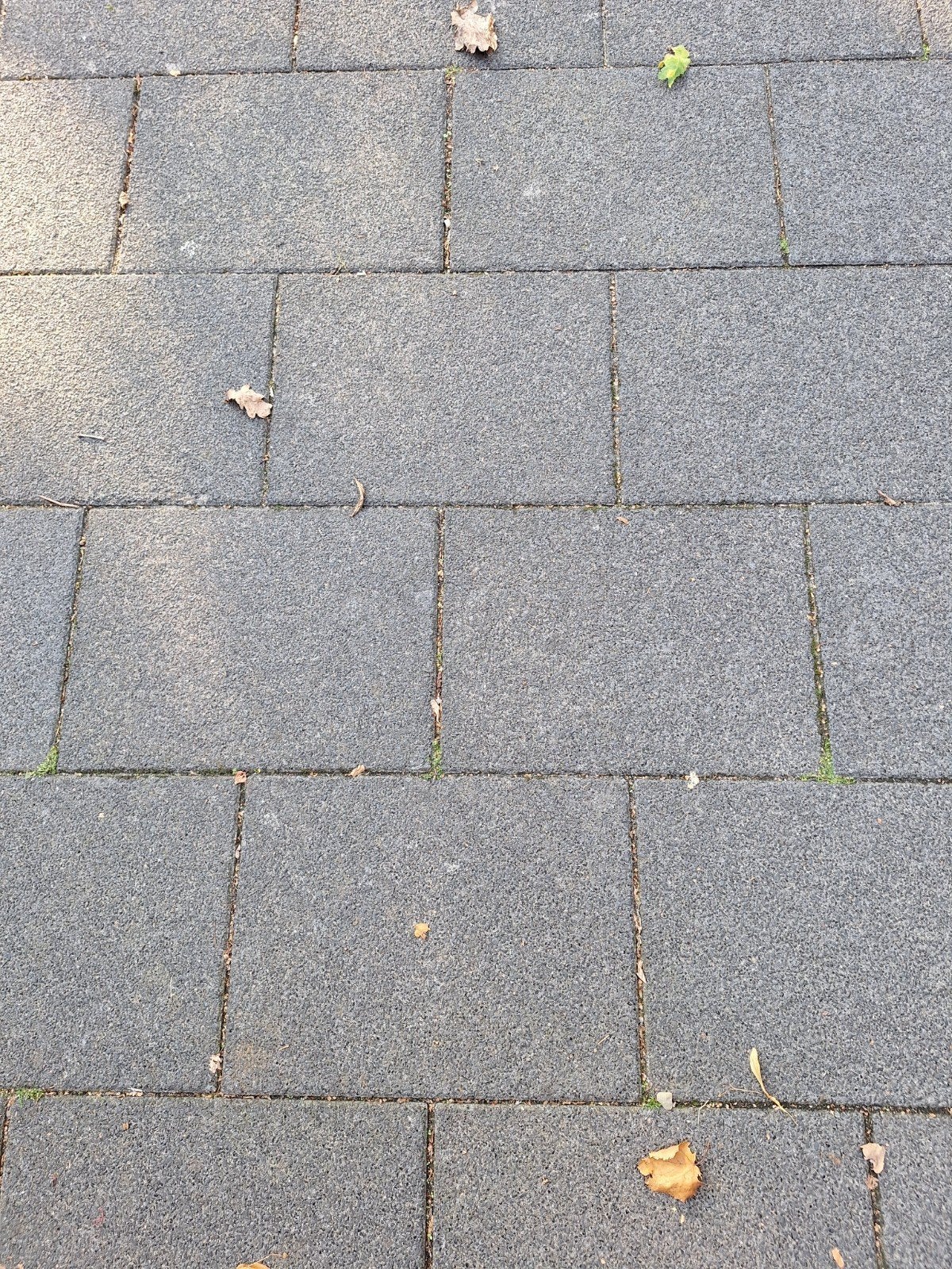 ***Gratis***  bestrating  ( oprit) grijze tegel maat 40 x 30, Tuin en Terras, Tegels en Klinkers, Ophalen, Gebruikt, 10 m² of meer