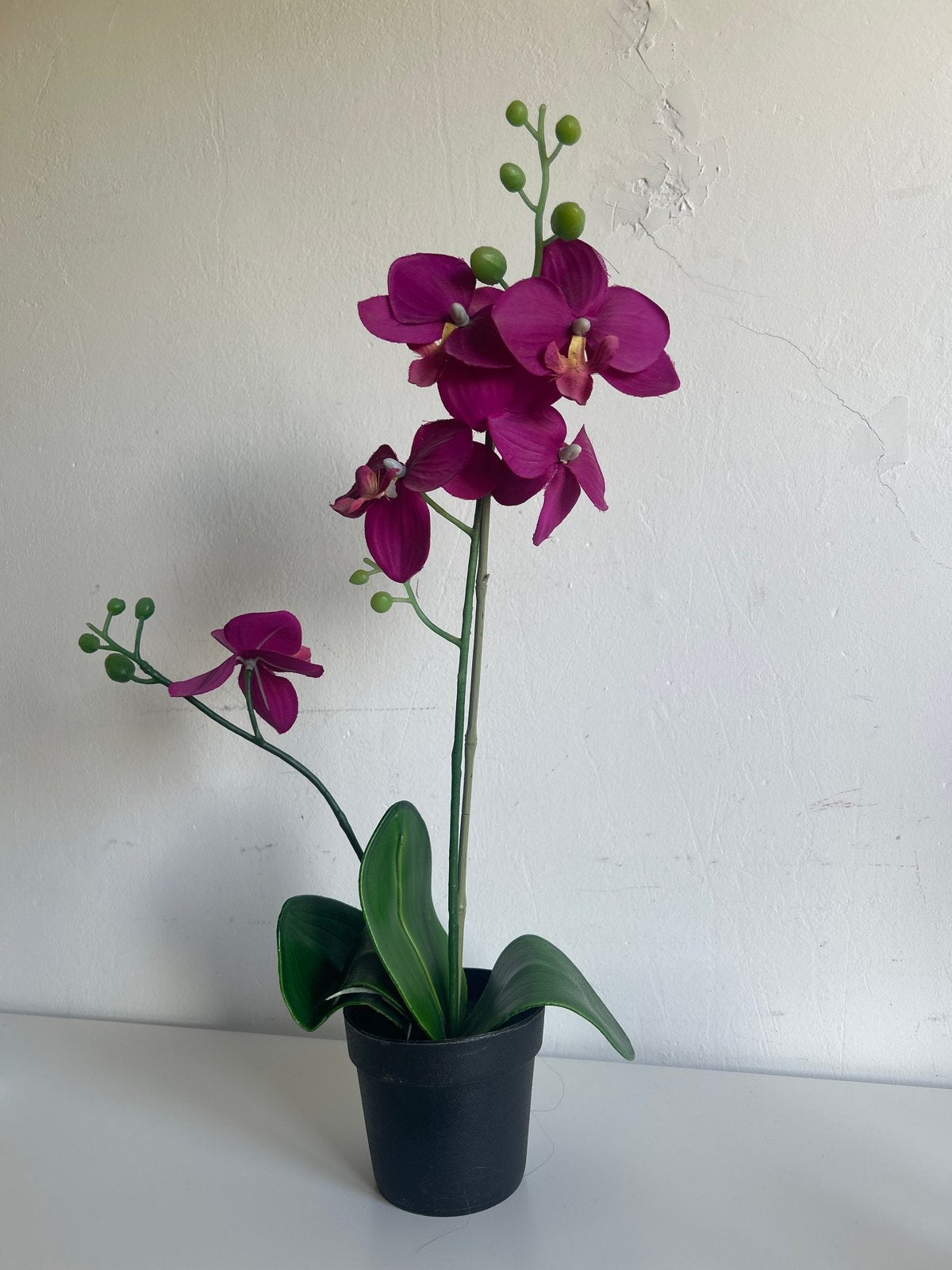 Prachtige paarse kunstorchidee in pot, Kunstbloem, Nieuw, Ophalen of Verzenden, Kunststof