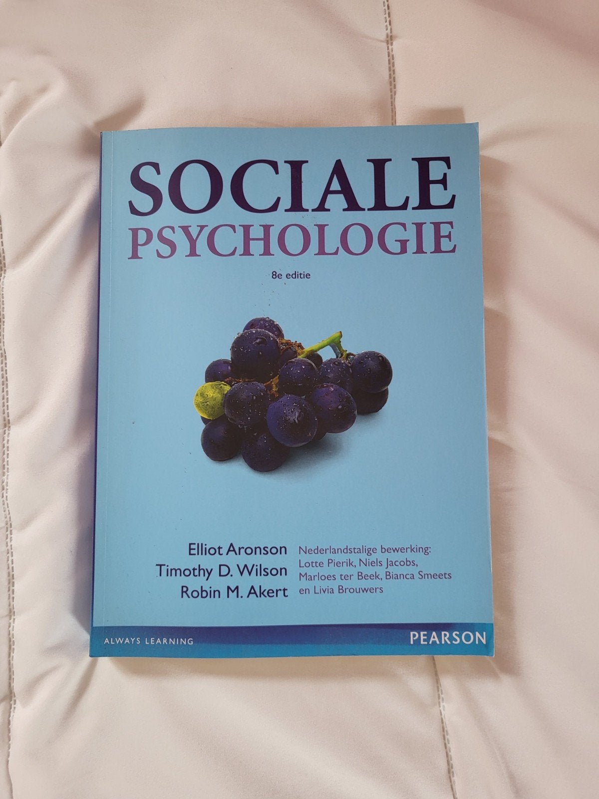 Sociale Psychologie - 8e editie - Elliot Aronson, Boeken, HBO, Zo goed als nieuw, Gamma, Ophalen