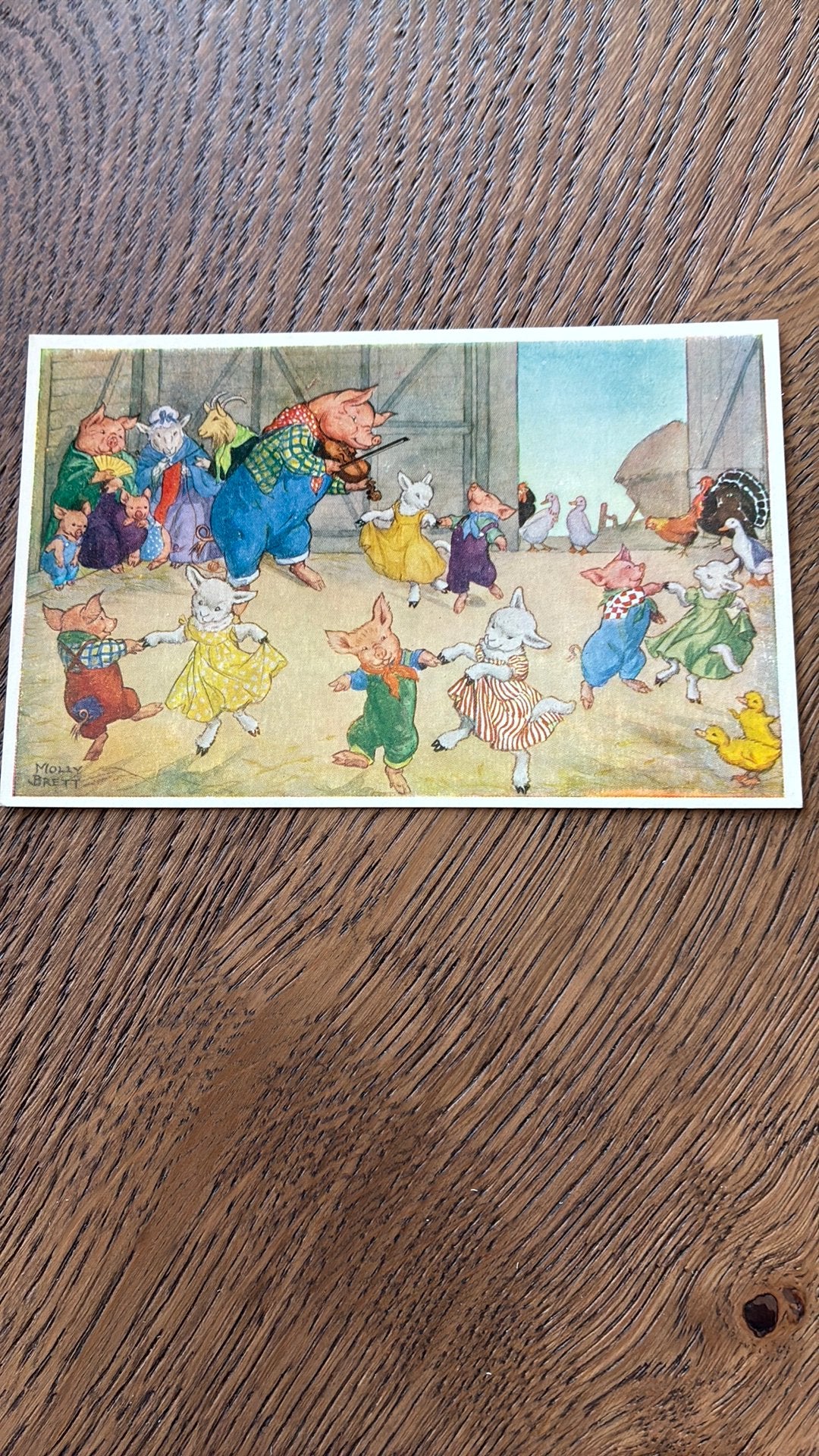Molly Brett.Dierenfantasie.Zoek uw danspartner.Biggen,lam, Ophalen of Verzenden, Ongelopen