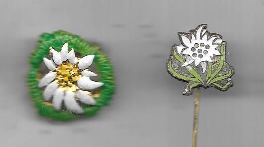 EDELWEISS `1 BROCHE SPELD EN 1 SPELD, Verzenden, Gebruikt, Overige onderwerpen, Speldje of Pin