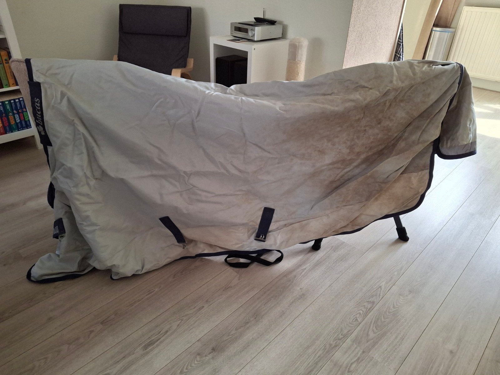Bucas Power Tunout Light 203cm 6'9, Dieren en Toebehoren, Ophalen of Verzenden, Gebruikt