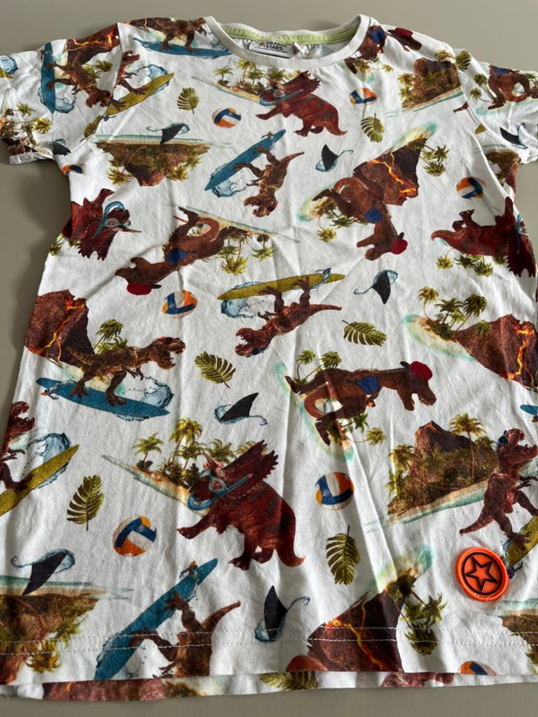 ‘T shirt maat 140/146 dino, Ophalen of Verzenden, Jongen, Shirt of Longsleeve