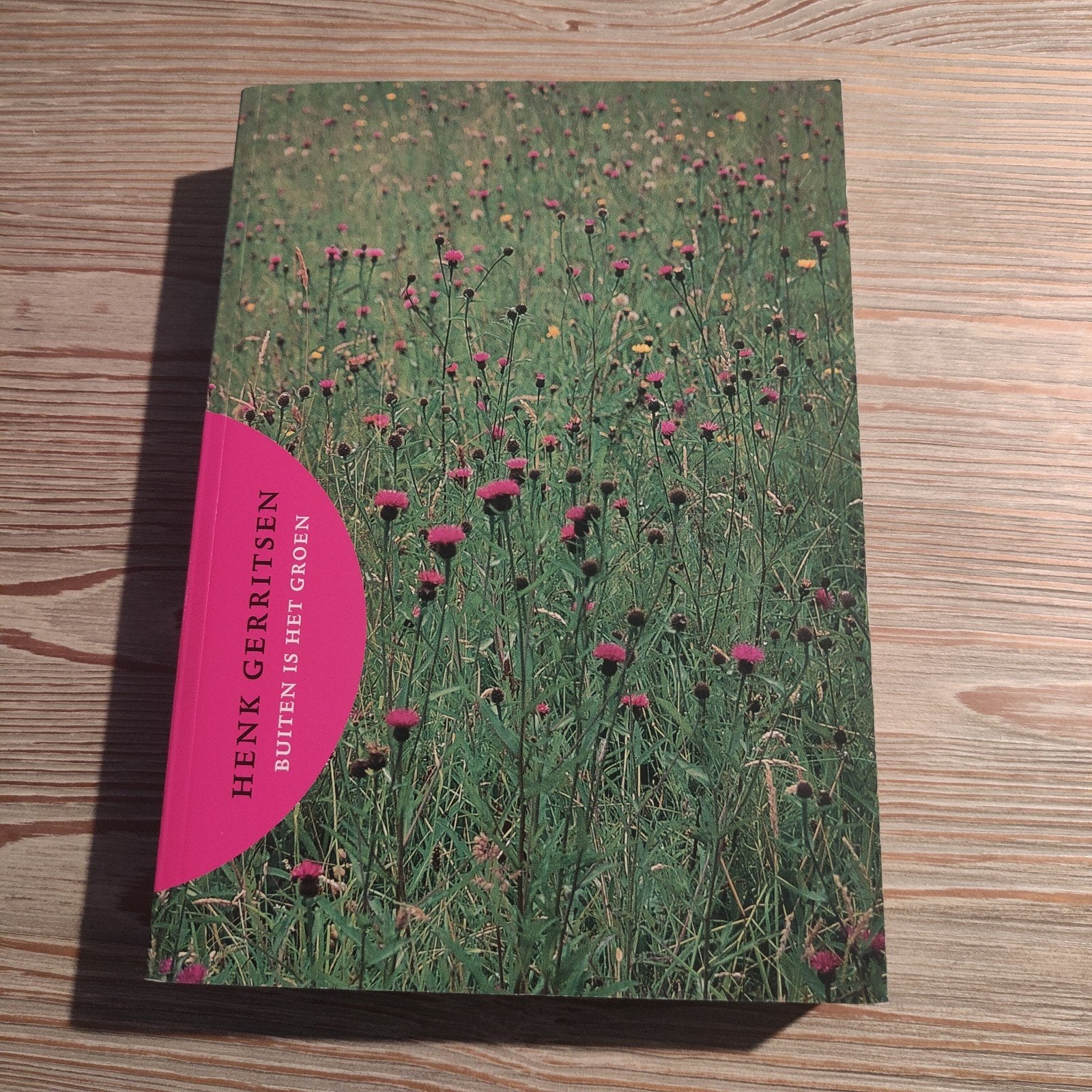 Henk Gerritsen - Buiten is het Groen ACTIE 💥, Boeken, Wonen en Tuinieren, Henk Gerritsen; Piet Oudolf, Ophalen of Verzenden, Zo goed als nieuw
