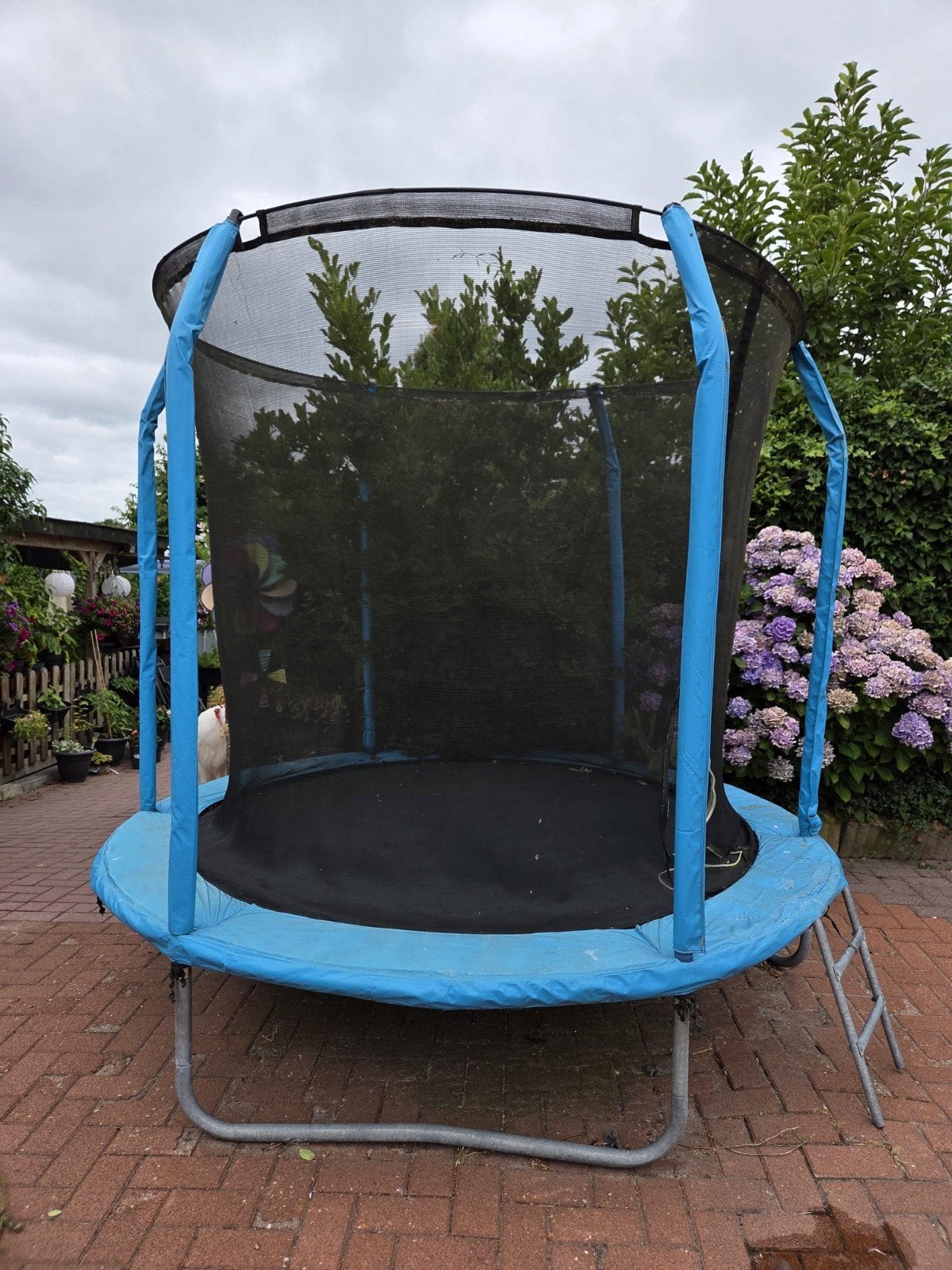 Trampoline met veiligheidsnet en ladder 244cm, Ophalen, Gebruikt