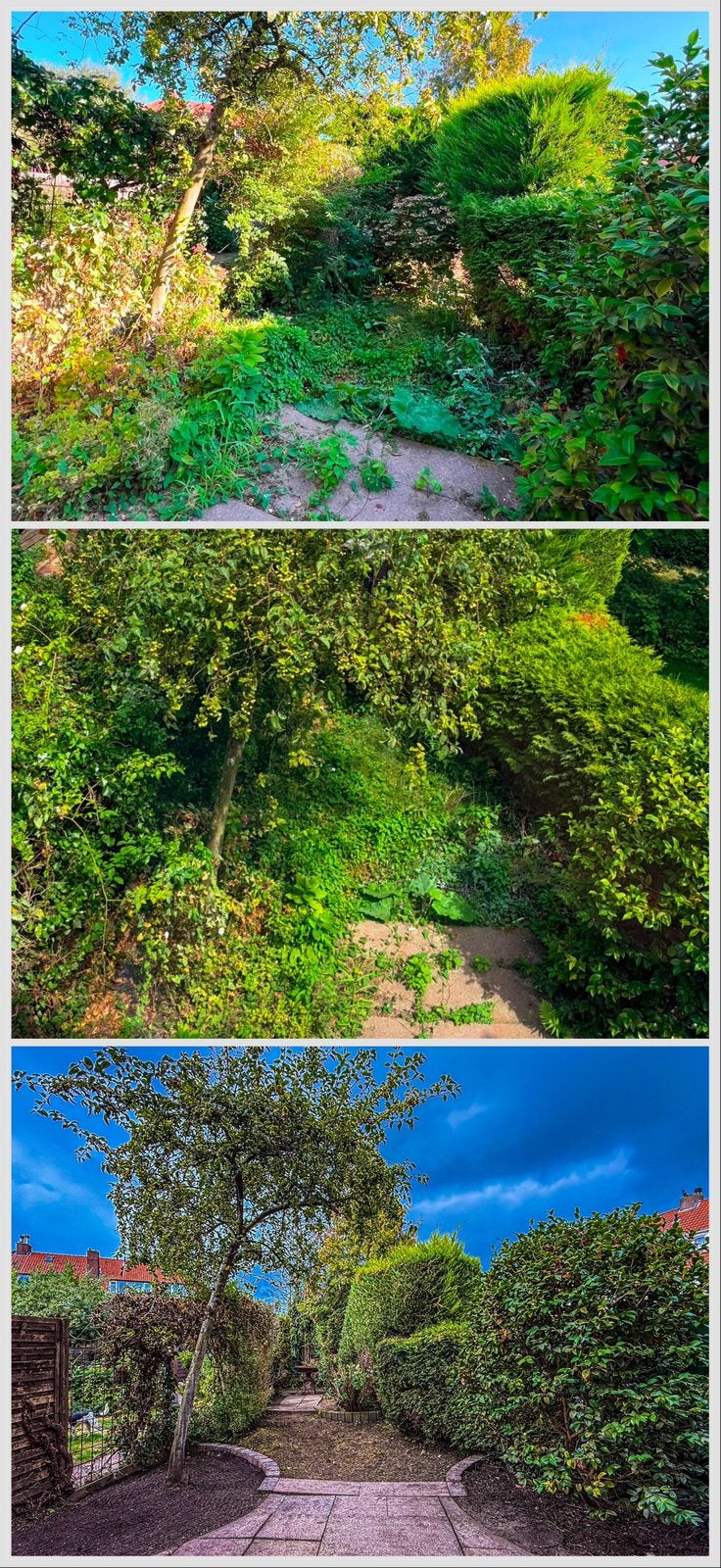 Betrouwbare tuinman | Tuinonderhoud en snoeiwerk Den Haag, Diensten en Vakmensen, Garantie, Tuinontwerp