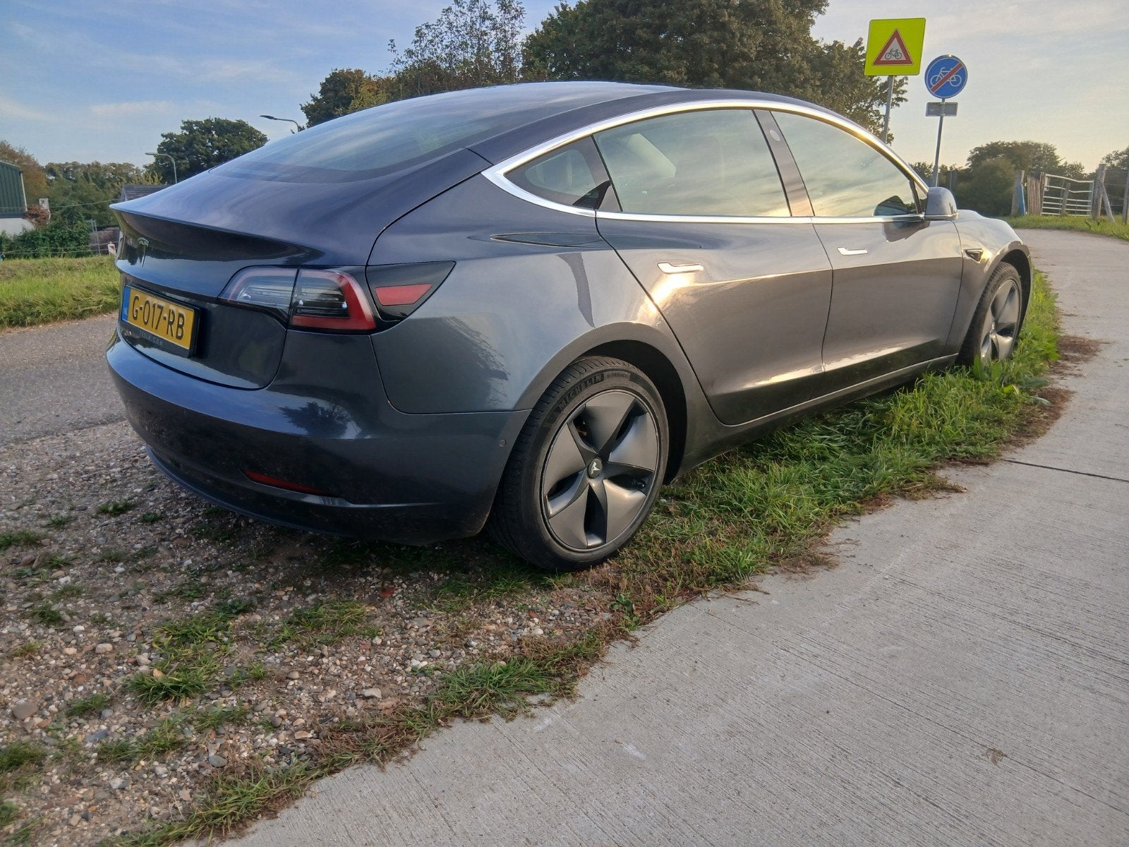 Foto 6 van Tesla Model 3 2019 Grijs