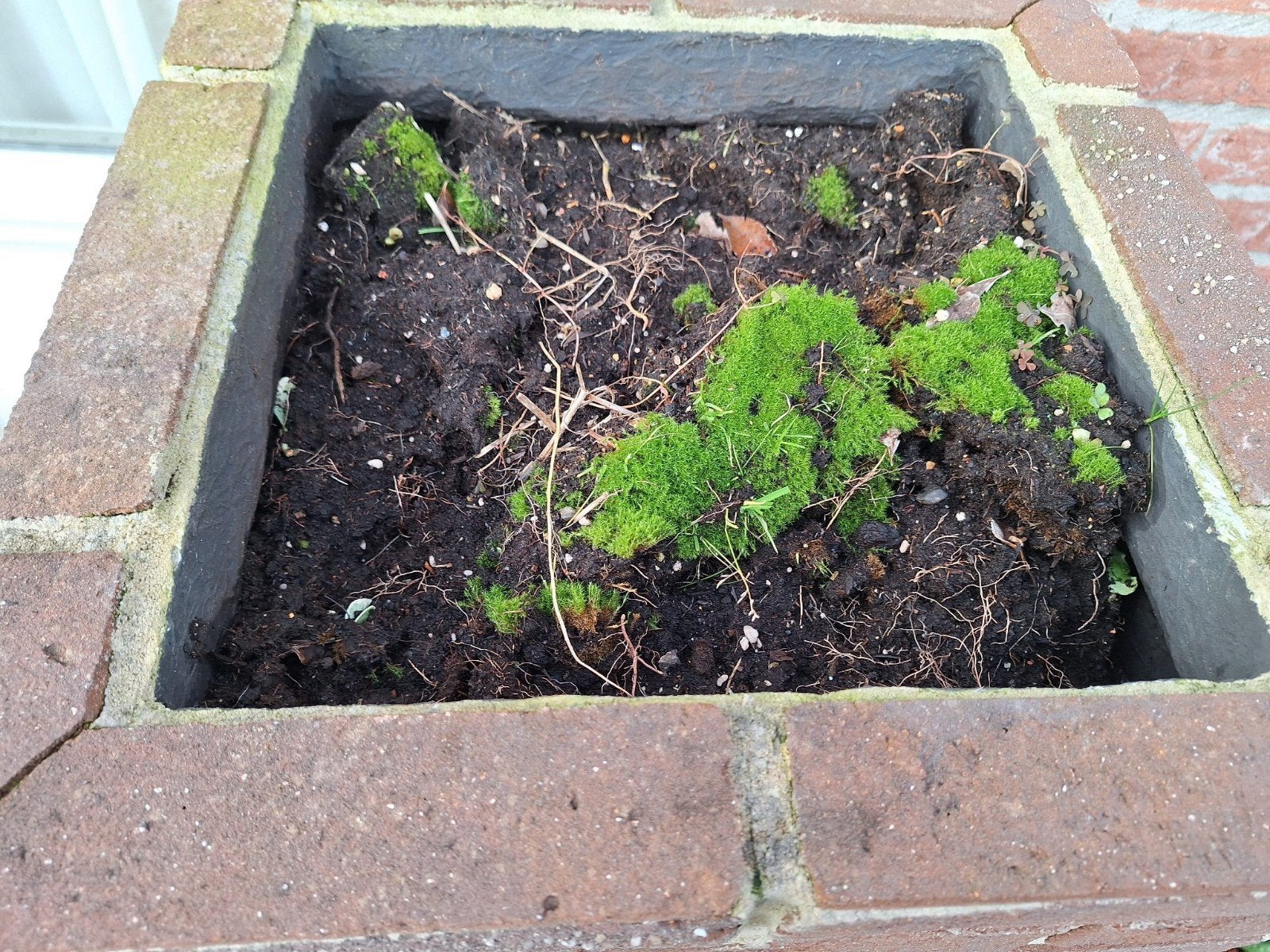 planten bak, Ophalen, Rond