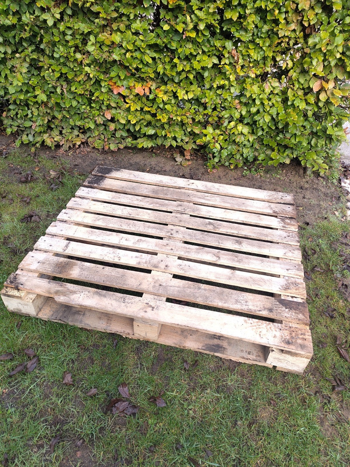 Houten pallet - Ideaal voor transport of decoratie, Ophalen of Verzenden, Overige typen