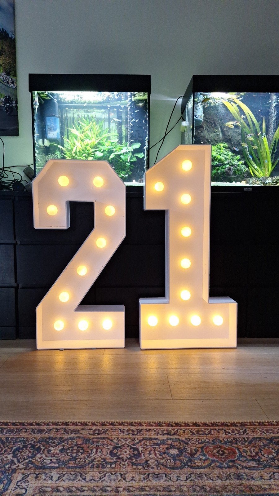 Alle lichtcijfers zijn bij ons te huur voor €20 per stuk, Ophalen, Zo goed als nieuw, Geboorte of Huwelijk