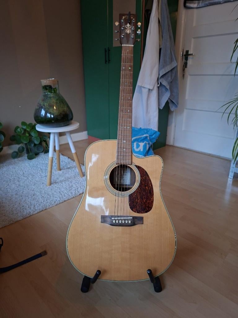 Recording King semi akoestische gitaar, Ophalen, Zo goed als nieuw, Western- of Steelstringgitaar