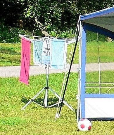Opvouwbare droogmolen voor camping of tuin, Caravans en Kamperen, Ophalen of Verzenden, Gebruikt