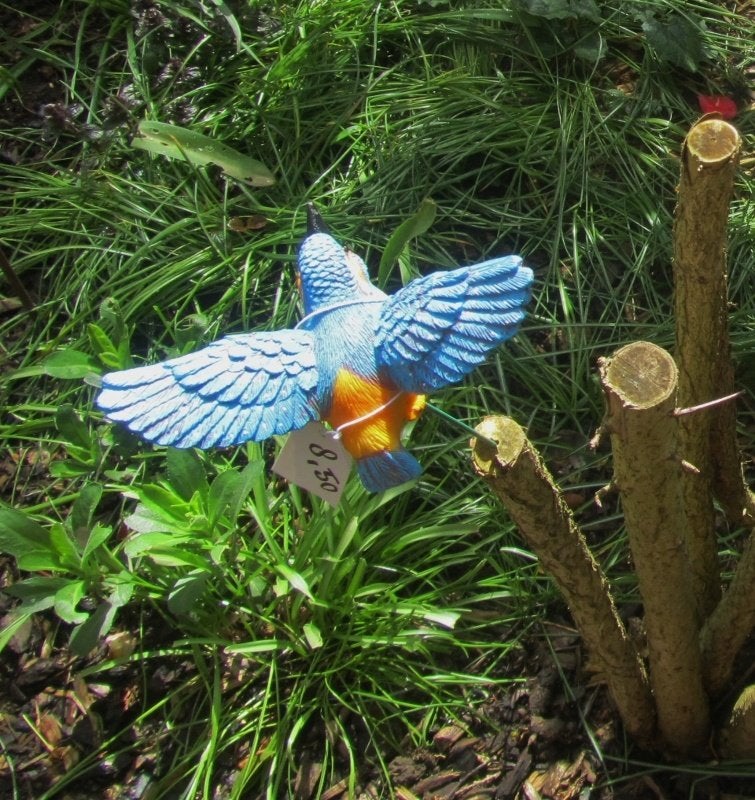 IJSVOGELTJE - THE BEAUTY.....OP STEKERTJE - VLIEGEND, Ophalen of Verzenden, Nieuw