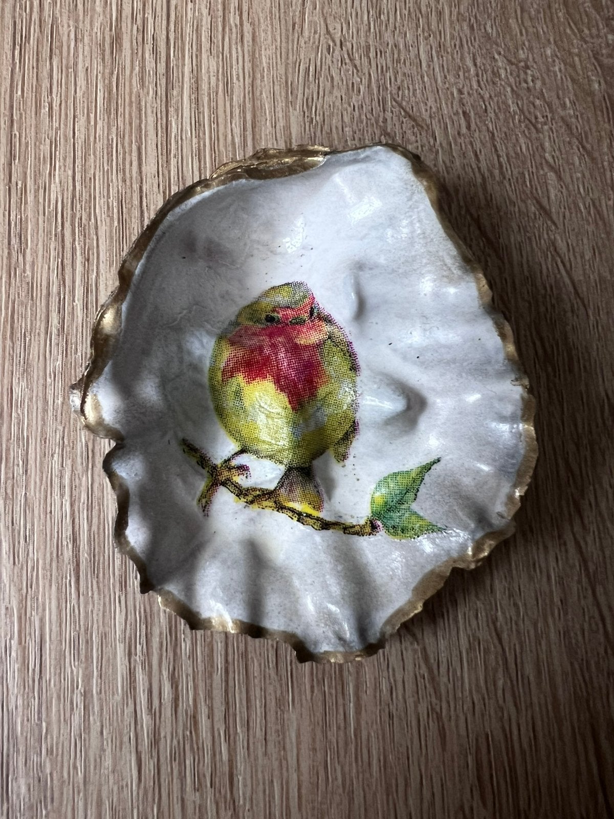 Oesterschelpje met roodborstje, Ophalen of Verzenden, Schelp(en)