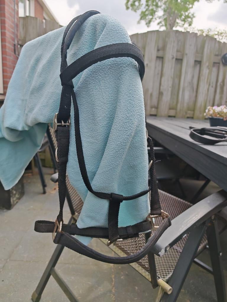 Halster hoofdstel te koop!, Ophalen of Verzenden