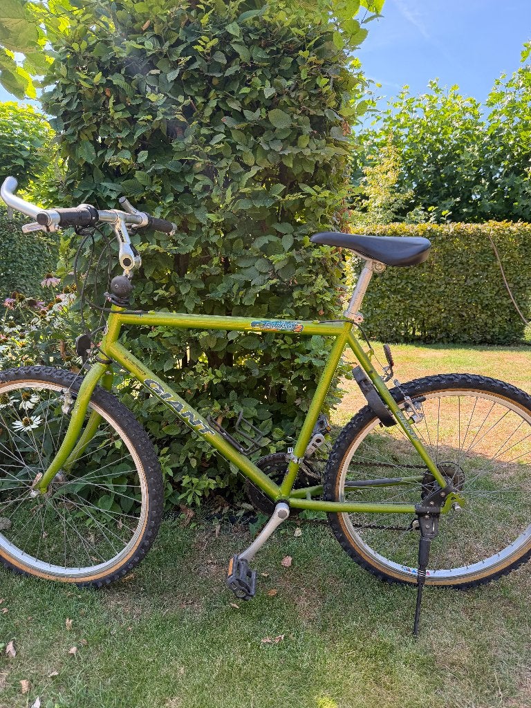 Mountainbike, poetsen en fietsen!, Fietsen en Brommers, Ophalen, Gebruikt, 49 tot 53 cm, Giant