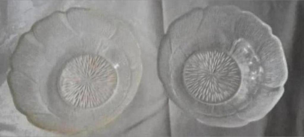 Twee Arcoroc Zonnebloem schaaltjes, Huis en Inrichting, Keuken | Servies, Ophalen of Verzenden, Overige stijlen, Glas, Schaal of Schalen
