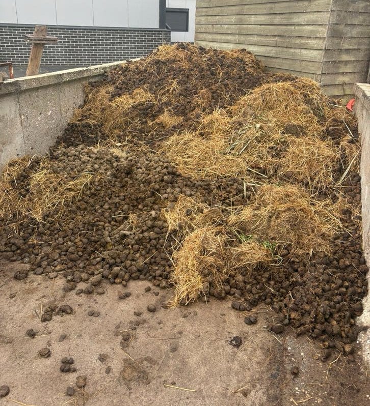 Gratis paardenmest/ compost met shovel te laden, Tuin en Terras, Aarde en Mest, Ophalen, Mest
