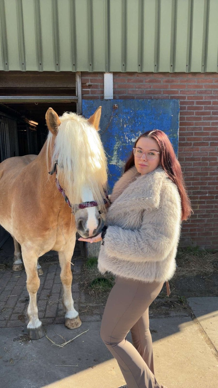 Gezocht eigen stuk grond/ weide/ plek, Dieren en Toebehoren, Stalling en Weidegang, 2 of 3 paarden of pony's
