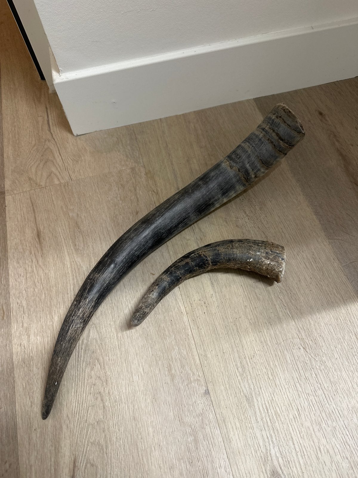 Decoratie hoornen, Ophalen, Gebruikt, Overige materialen, Landelijk