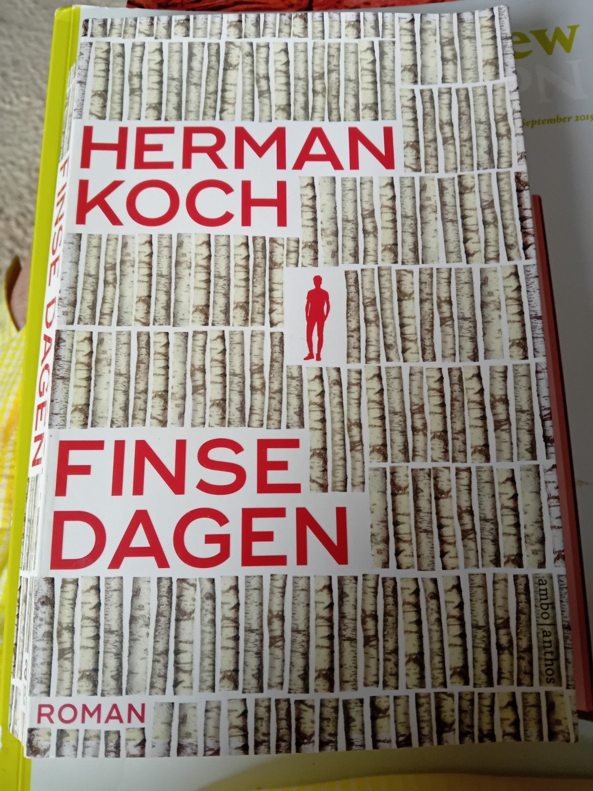 Herman Koch - Finse Dagen: Roman, Ophalen of Verzenden, Gelezen, Herman Koch, Nederland
