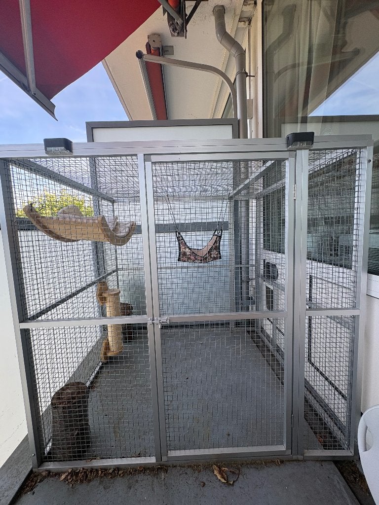 Kattenren, Dieren en Toebehoren, Ophalen, Zo goed als nieuw