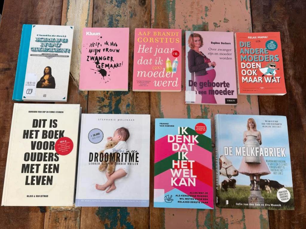 Boeken zwangerschap, baby's, borstvoeding, Ophalen of Verzenden, Zo goed als nieuw, Zwangerschap en Bevalling, Diverse auteurs