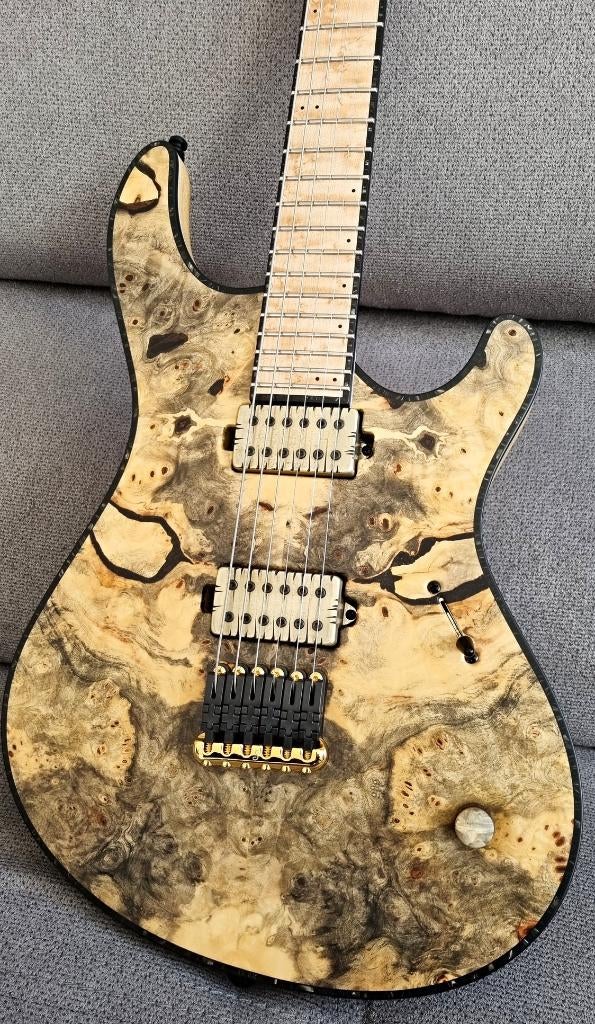 Mayones Regius 6, Muziek en Instrumenten, Ophalen, Zo goed als nieuw, Solid body, Overige merken