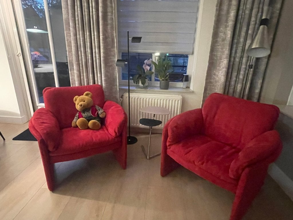 2 rode Leolux fauteuiltjes, Huis en Inrichting, Ophalen, Gebruikt, 75 tot 100 cm, Stof