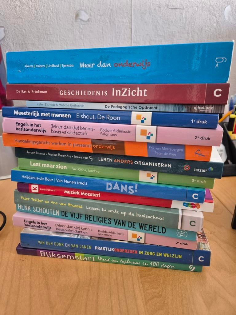 Stapel PABO studieboeken - Diverse vakken, Boeken, Studieboeken en Cursussen, Gelezen, HBO, Gamma, Ophalen of Verzenden