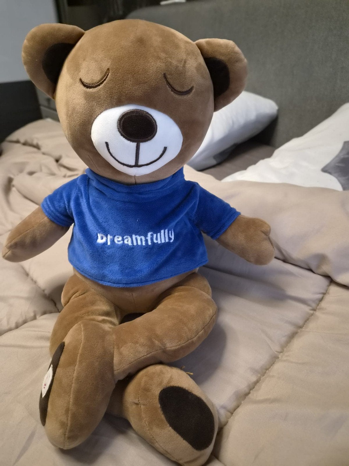 Meddy bear, Ophalen of Verzenden, Zo goed als nieuw, Beer
