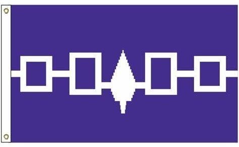 IROQUOIS Flag American Vlag ca 90 x 150 cm Native American, Ophalen of Verzenden, Nieuw