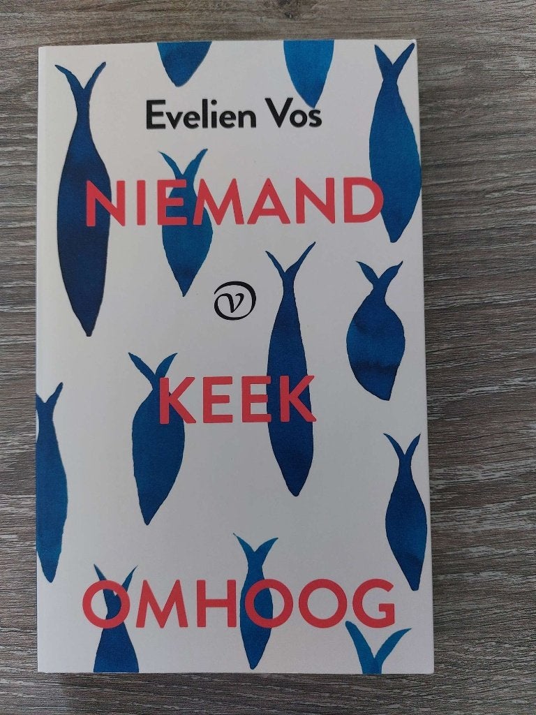 Evelien Vos - Niemand keek omhoog - 2019, Ophalen of Verzenden, Zo goed als nieuw