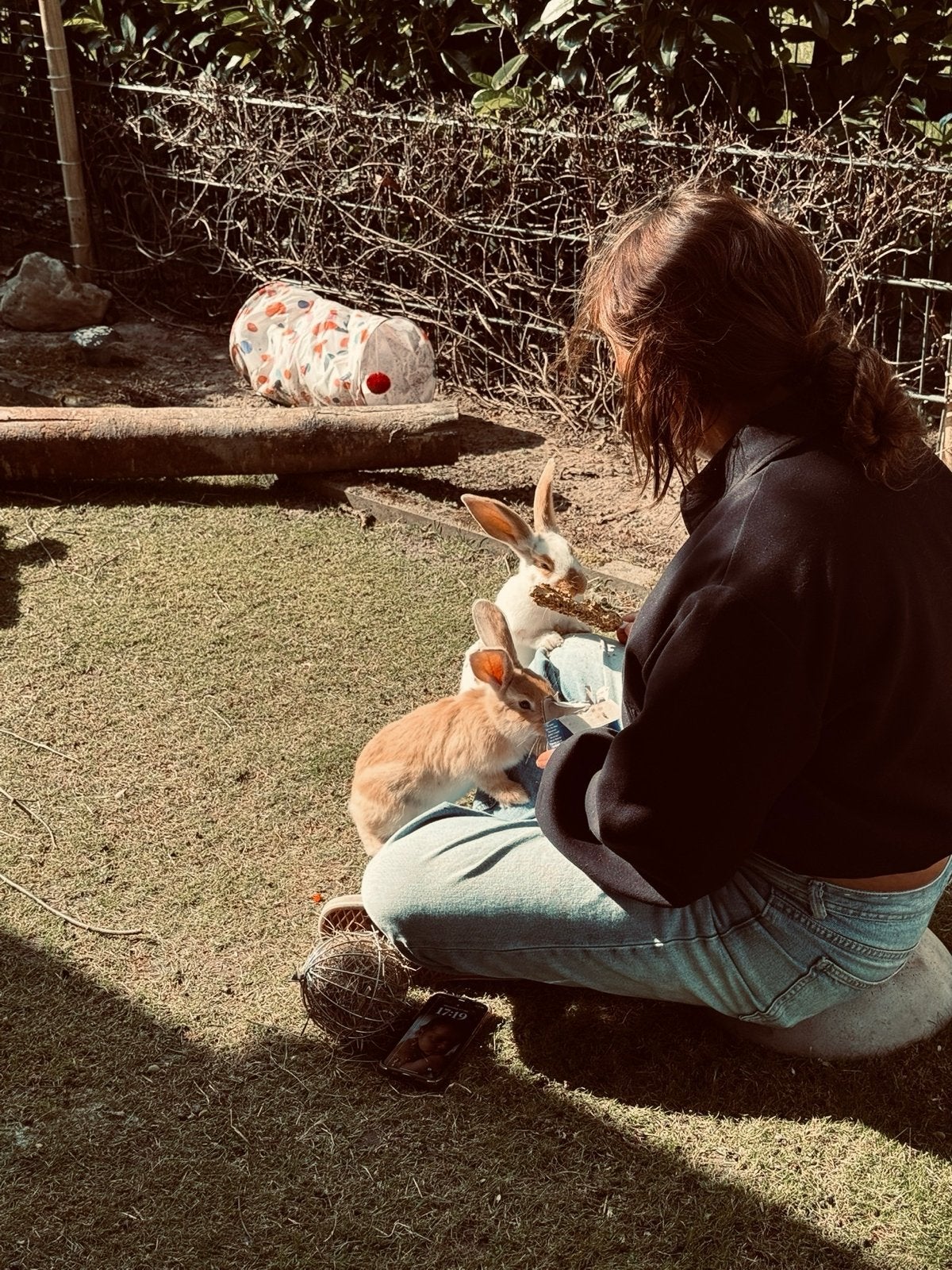 Konijn gezocht, Dieren en Toebehoren, Konijnen, Mannelijk, Klein, 0 tot 2 jaar