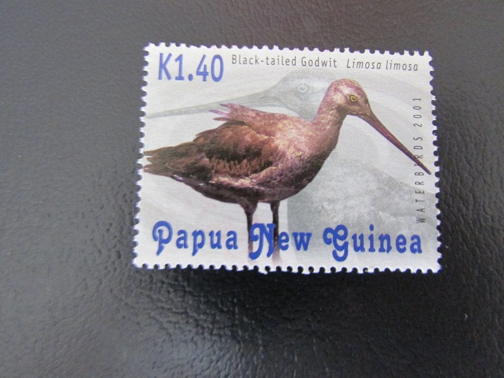 Postzegel Vogel: Grutto Uit Papua Nieuw-Guinea, Ophalen of Verzenden, Postfris, Dier of Natuur