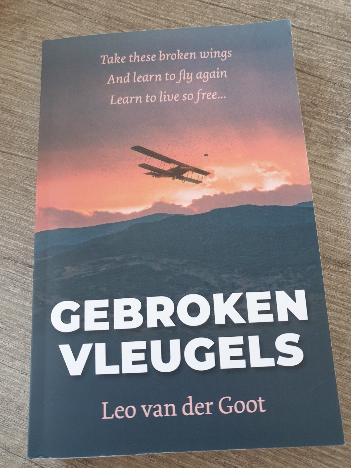Gebroken Vleugels - Leo van der Goot, Ophalen of Verzenden, Gelezen, Leo van der Goot